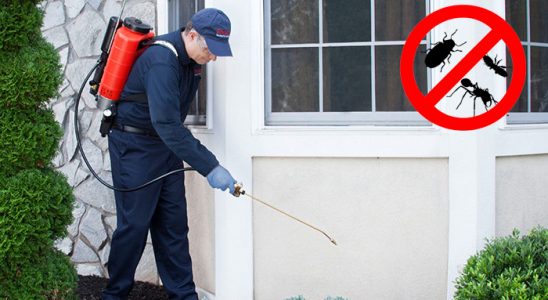 Altınekin Bit İlaçlama böcek ilaçlama ve haşere kontrolü — ilaclama-tr.com